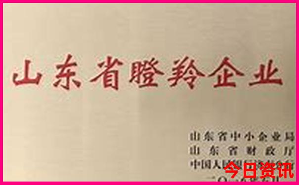 阿拉伯十大著名景点